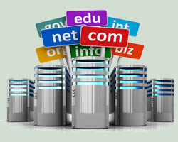 Domain Booking & Web Hosting