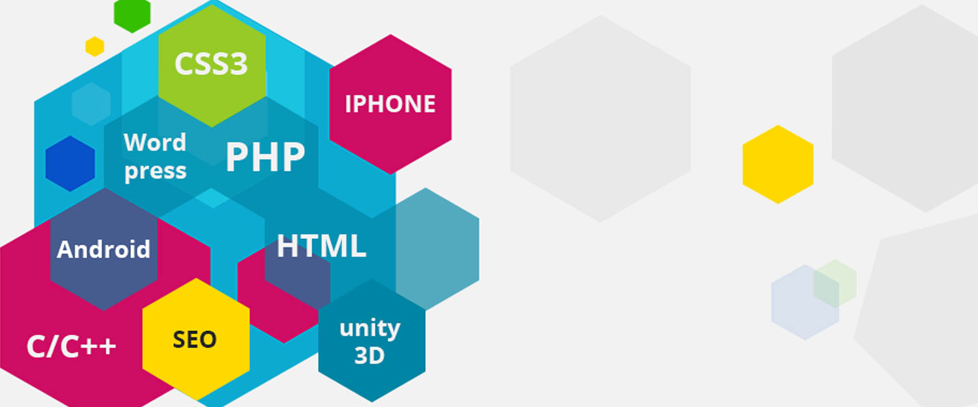 Best website designing company in delhi